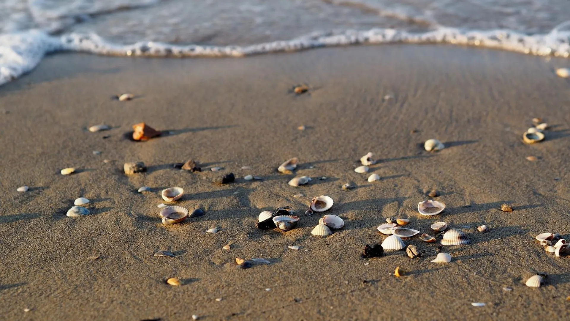 Flat Near The Beach Perfect Up To 6 Guests Bibione